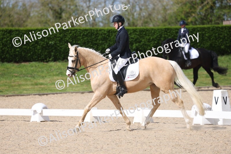 20260405-0307 - Class 4 - Novice 6