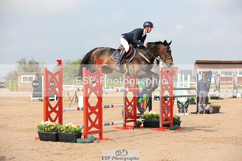 250424-103744-03136 - Cls 33 Young Horse 7yr old