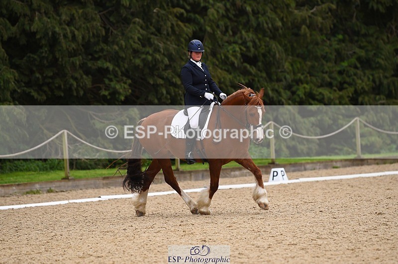 230426-111408-00416 - Cls 4 Novice 38Q Start to 11.30 break