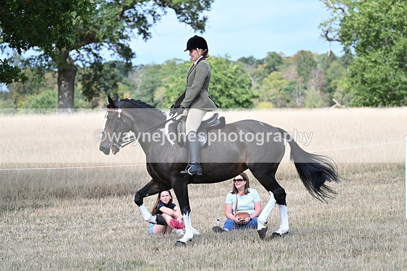 WJ7_6079 - Class 13 Ridden Veterans