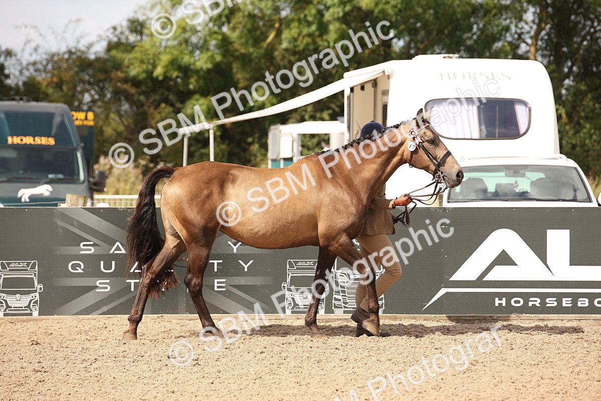 SBM_03744 - Class 19 Judge's Favourite