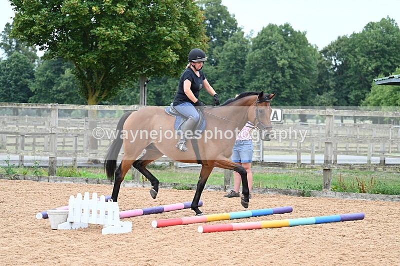 WJ7_8261 - Poles 11:00am