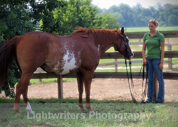 Haleys Horse_017 - Haley and Pilgrim