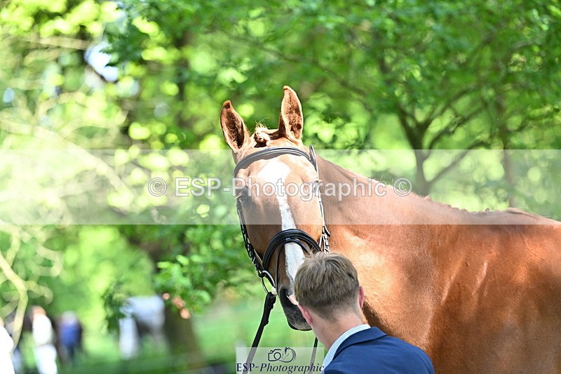 250521A-154213-00703 - B-354-Oliver.Thompson-LAGANS.RICE.STAR