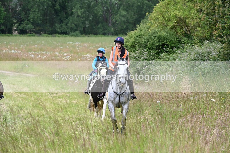 WJ6_8100 - Camera 1 Gallops