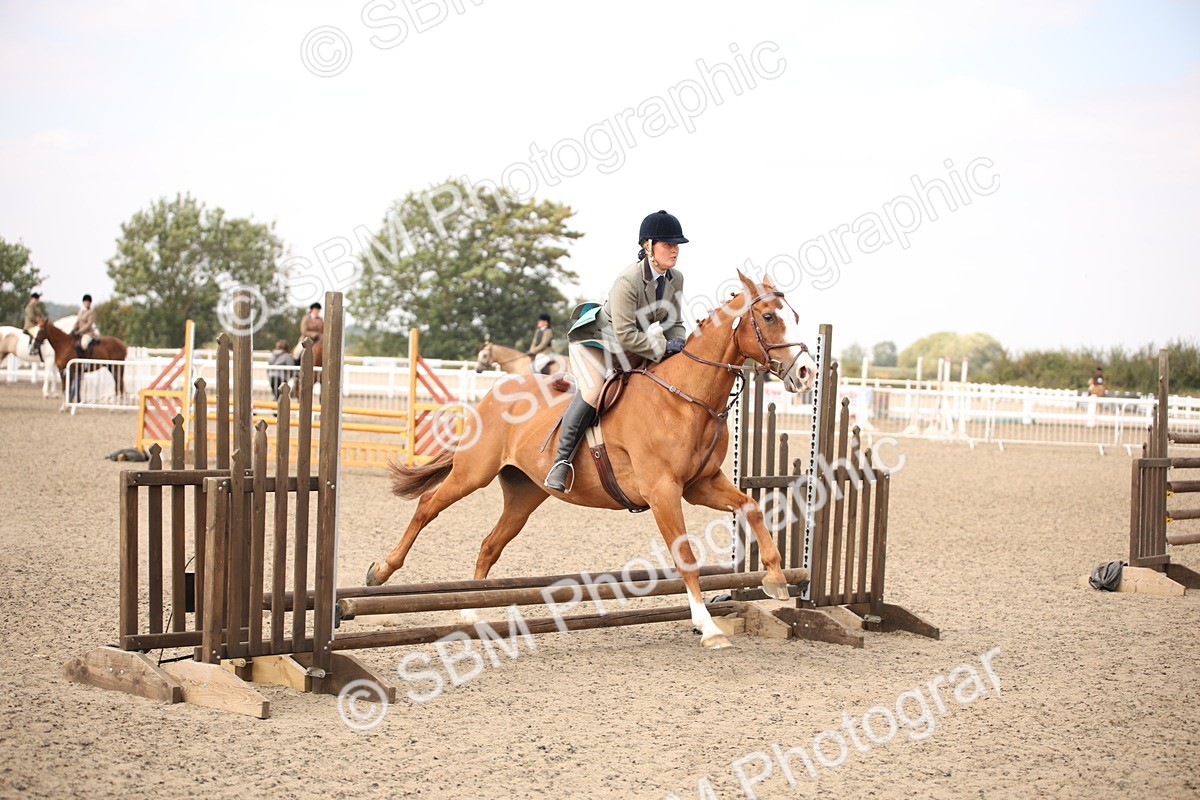 SBM_13584 - Class 406b - Working Veteran 50cm (20+)