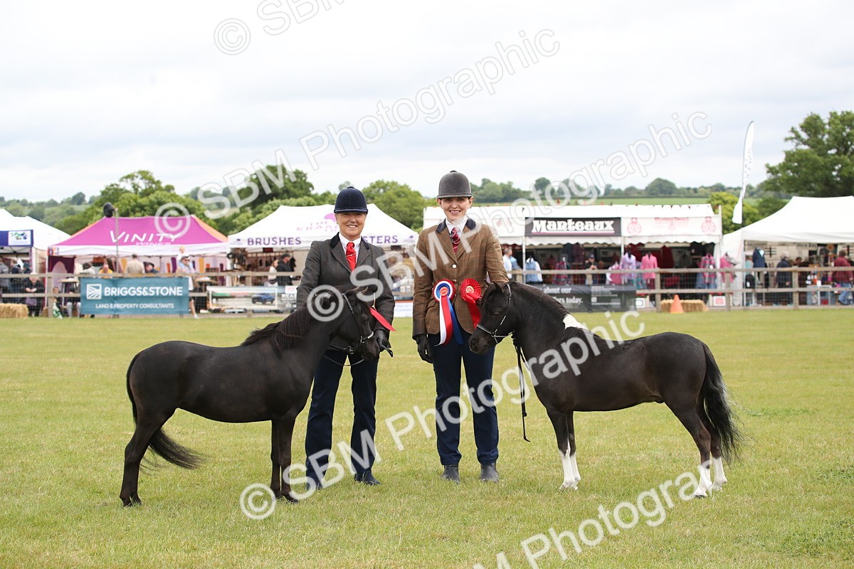 SBM_03579 - Class 23-25 - British Miniature Horse of the Year