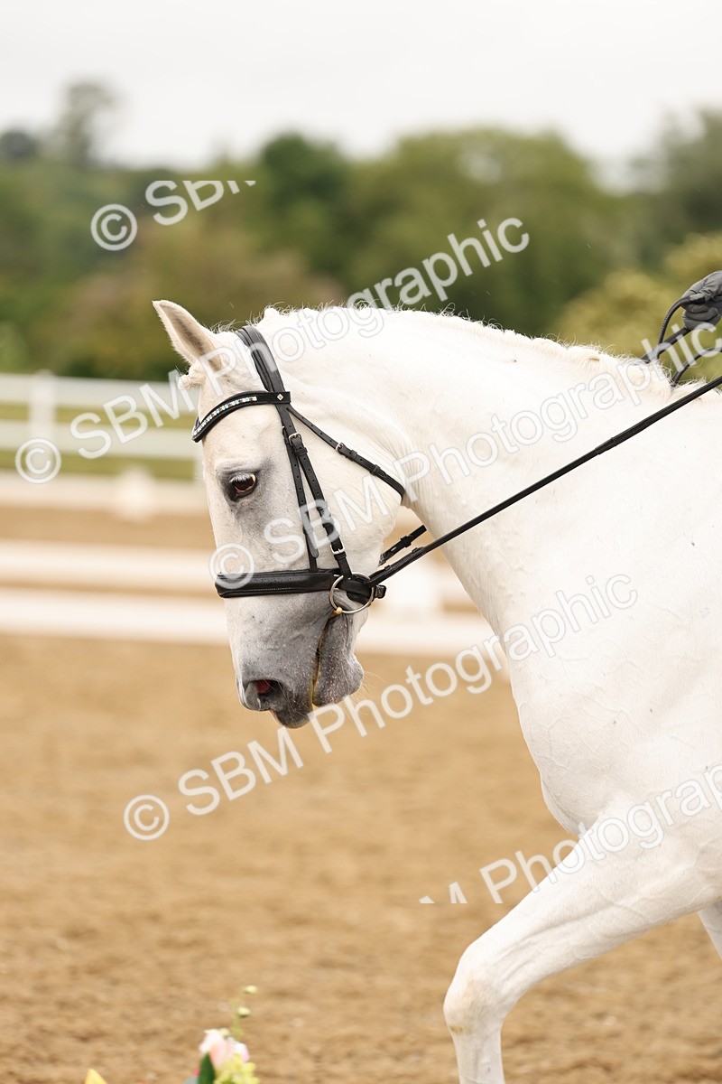SBM_004597 - Class 6a - Novice 5 - 14.48-16.40
