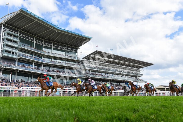 yr10062022r5-40 - Race 5 4.05pm Irish Thoroughbred Marketing Stakes