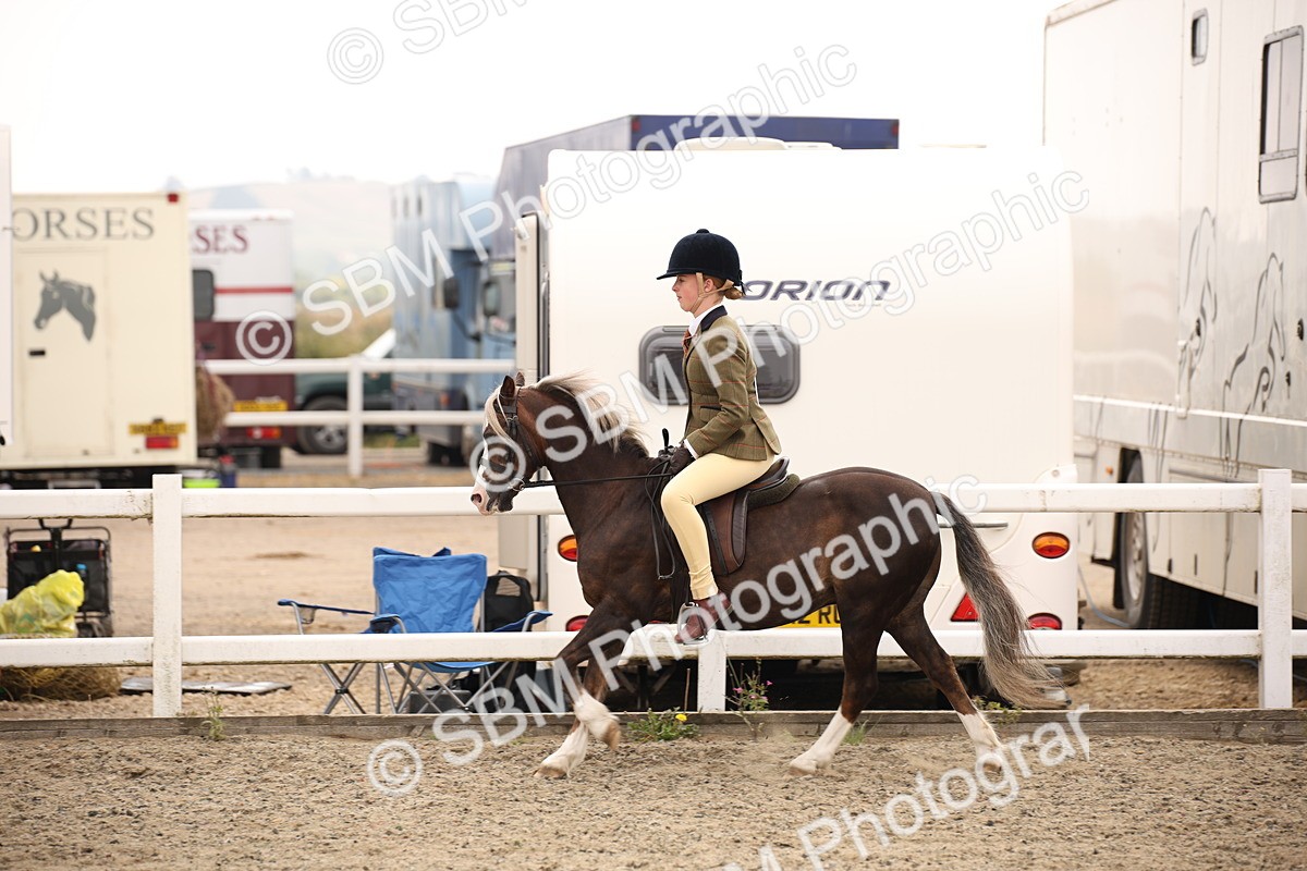 SBM_12590 - Class 405b - M&M Working Veteran 50cm 20+