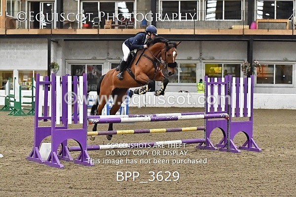 BPP_3629 - FRI CLASS 21 BR NOVICE/90CM