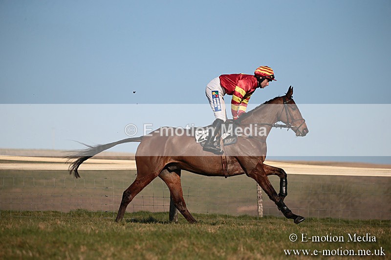 PtP 230219 485 - Vine & Craven Point-To-Point - Barbury 23/02/19