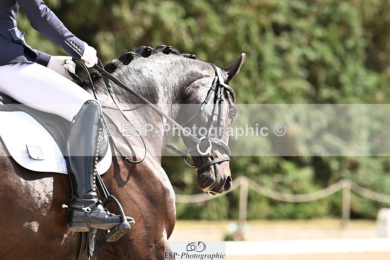 250808A-144004-00966 - 032-Caitlin.BurgessFurst.Sandreo.MFS