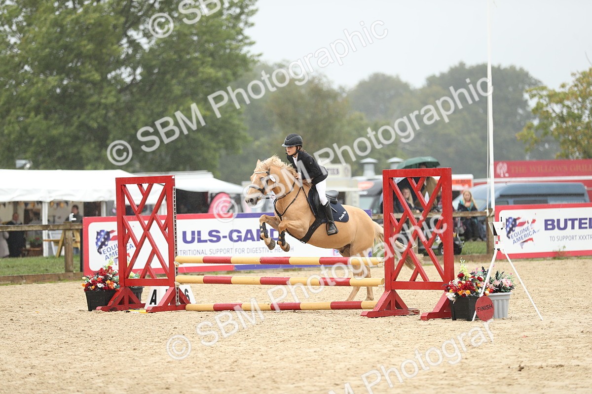 SBM_73690 - J16 - Junior Pony 75cm Championship