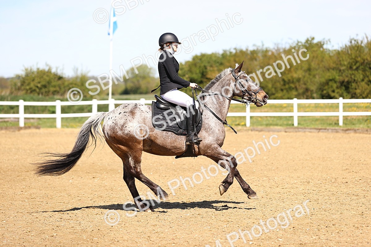 SBM_001013 - 70cm