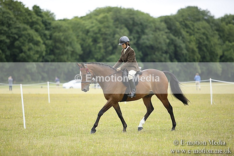 BVR160717-302 - Ring 1 BVRC Show 16/07/17