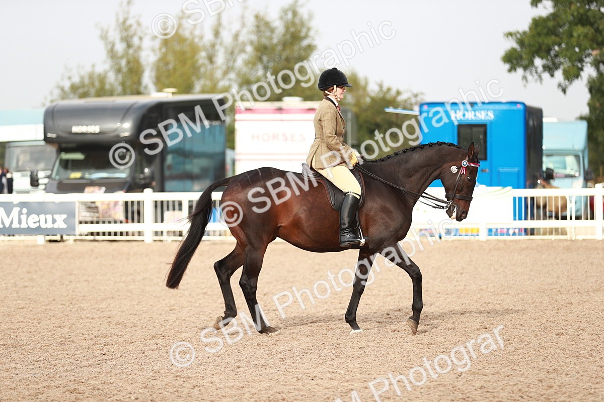 SBM_09413 - Class 202 Best Turned Out Ridden