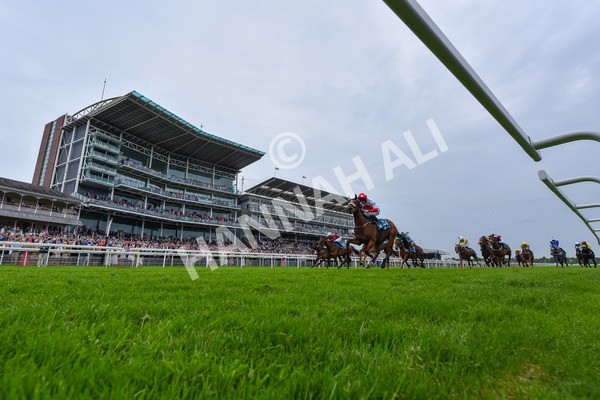 250524-Race 7-Feel The Need-7071 - Race 7 5.05pm Alf Duffield Memorial Handicap