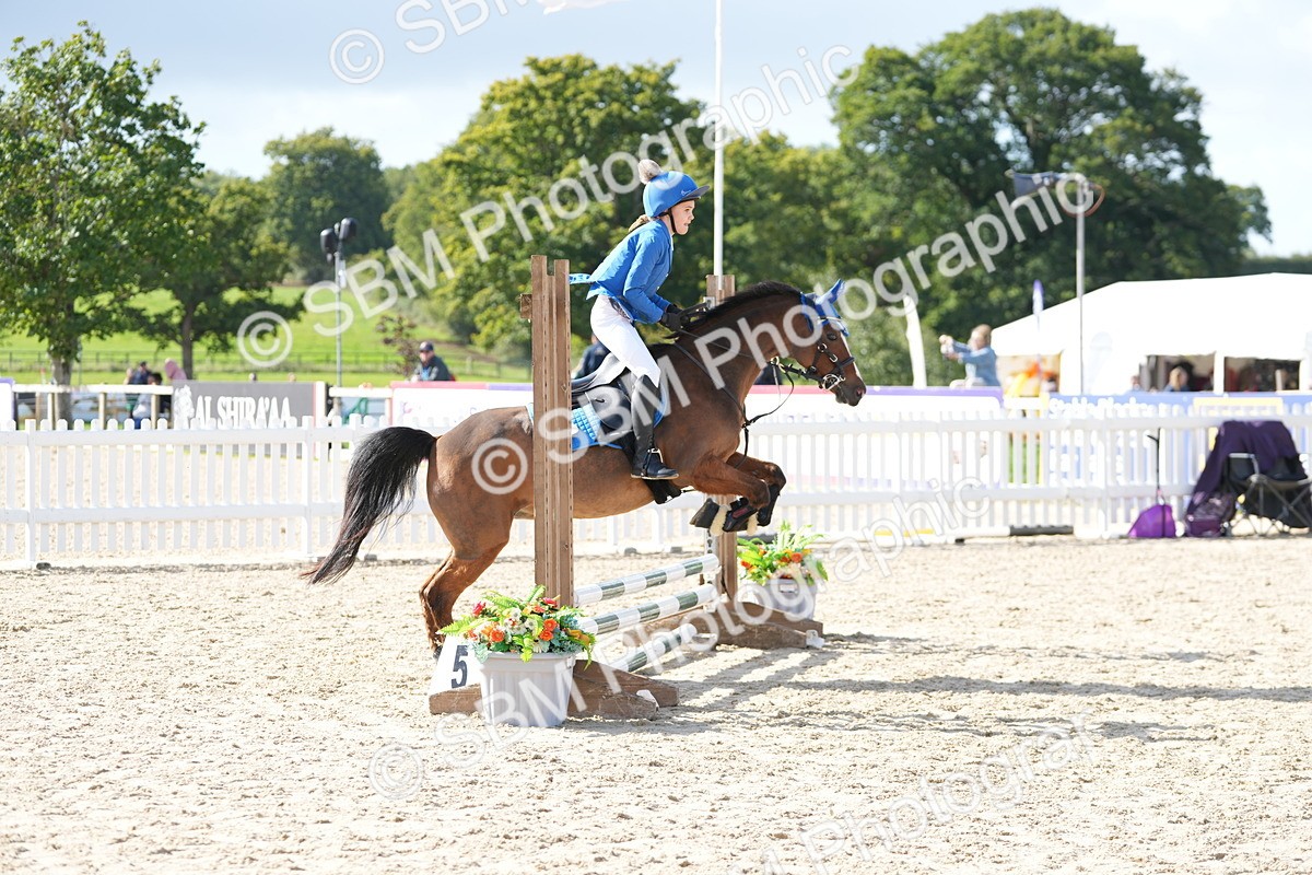 SBM_16863 - J58 - Clear Round 50cm