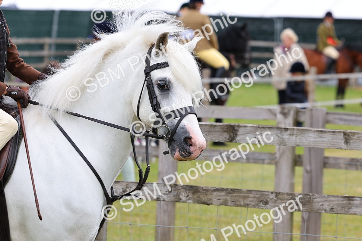 SBM_08420 - Class 42-43 - LIHS BSPS Heritage Working Sports Pony