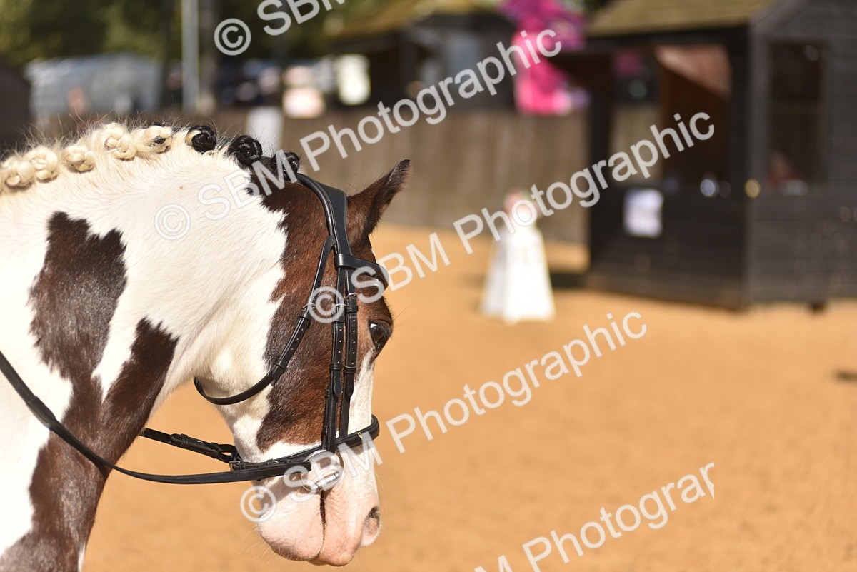 SBM_48692 - D22 - Junior Championship Intro 3