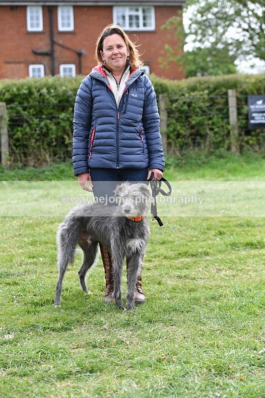 WJ5_9349 - Class 1 Best Cross Breed / Heniz 57