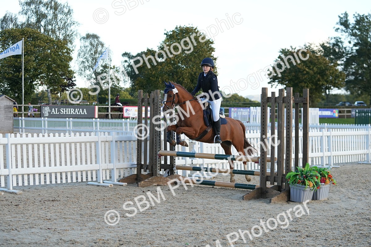 SBM_54173 - Supreme Championship 60cm 65cm