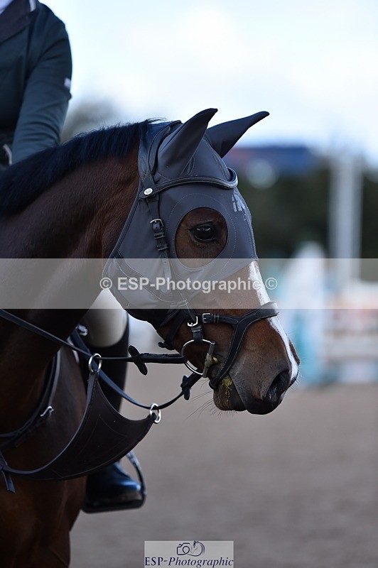 231014A-112752-04039 - Cls 13 85cm Amateur Q 2nd R