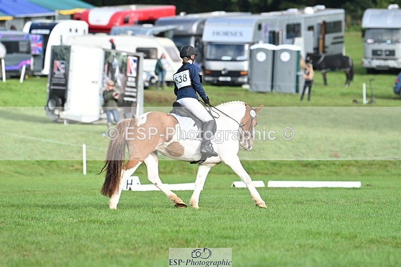 231020-102820-07630 - 638-I.FOUND.NEMO-Jacky.Jones-DR