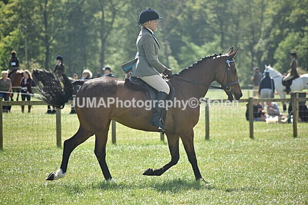DSC_9230 - Rings 1 & 2