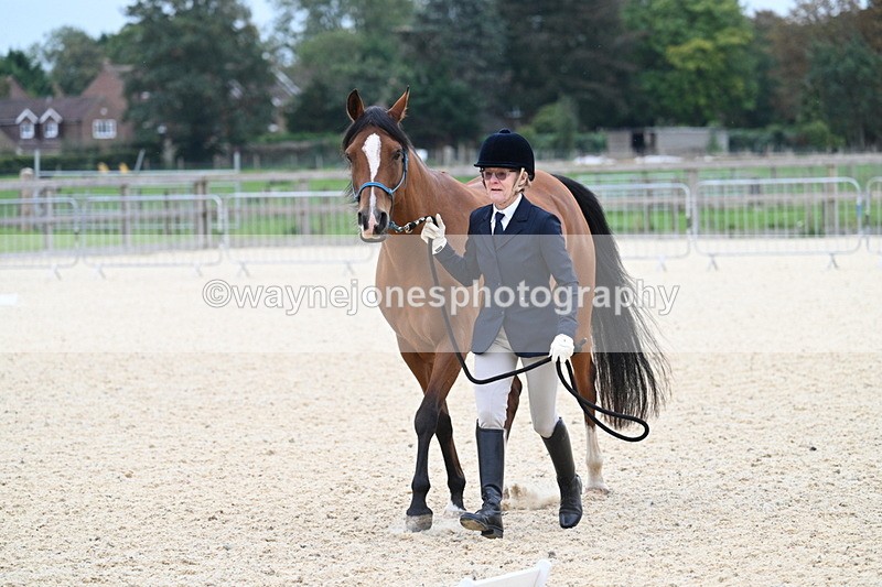 WJ7_1874 - Class 1 & Champs