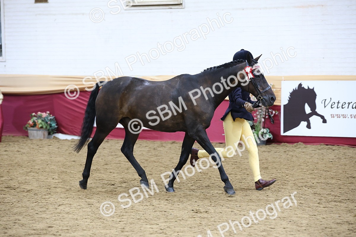 SBM_23612 - Class 904 - Supreme Final - Ridden Diamond