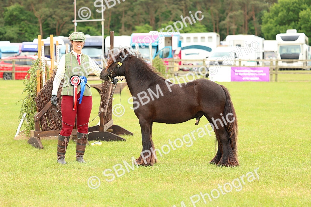 SBM_06360 - Class 39-41 TGCA In Hand and Ridden