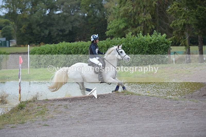 NGP_3371 - XC Time 11:59 to 12:15