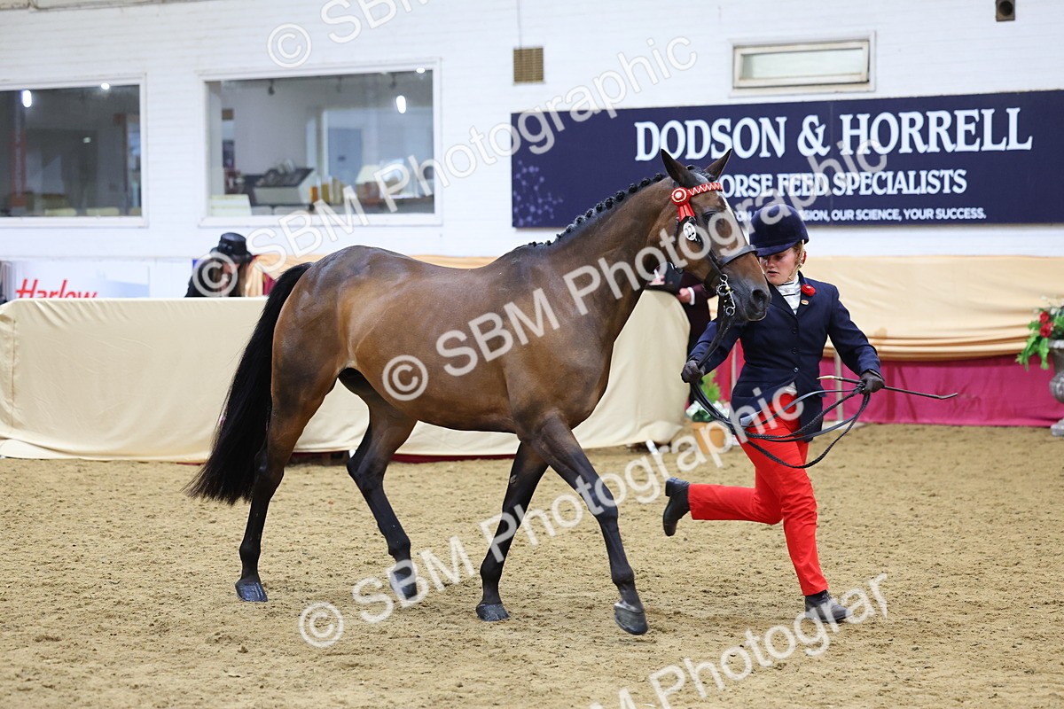SBM_21096 - Class 902 - Supreme Final IH Veteran