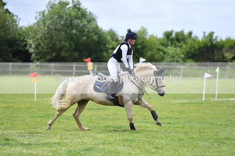 WJ5_4011 - Class 6 80cm