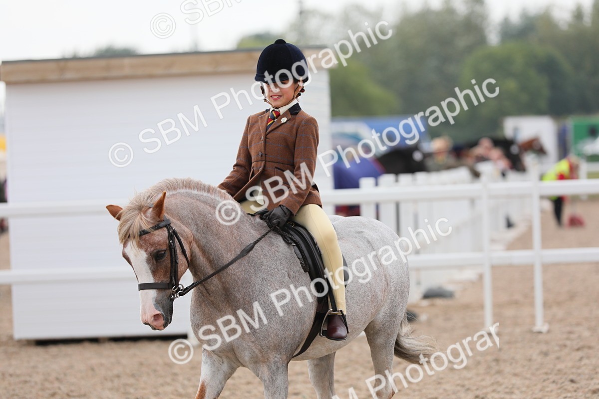 SBM_12717 - Class 307 Ridden Coloured Pony