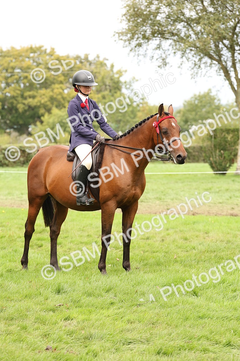 SBM_64282 - S65 - Riding Horse & Hack & Thoroughbred Ridden