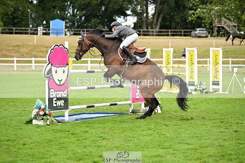 250706A-141712-20427 - Cls 45 Snr 1.20m Grand Prix