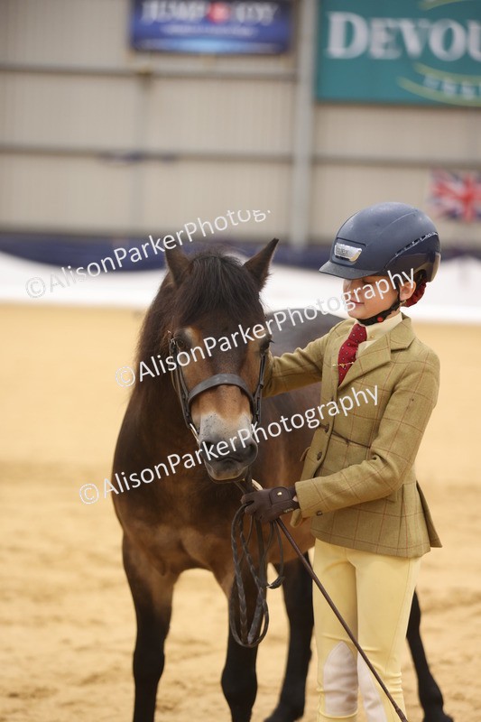 20260913-1140 - Class 110 - Bred In Other In Hand
