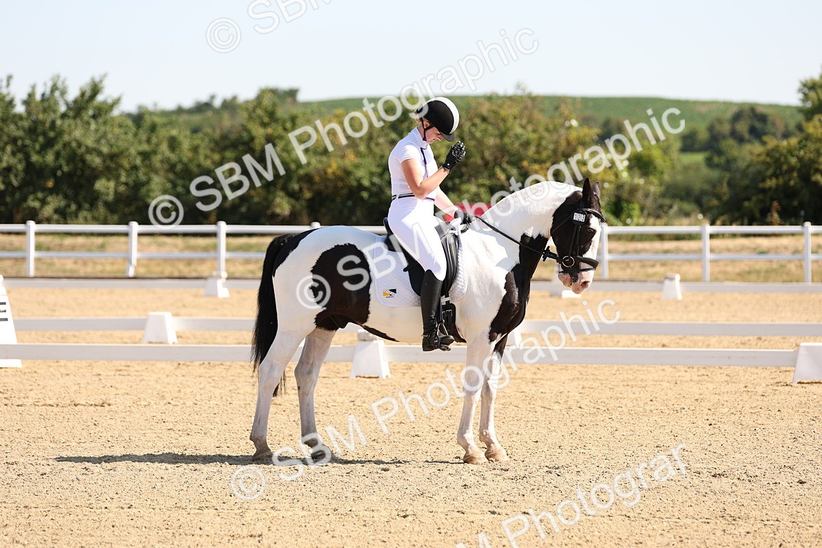 SBM_001010 - Intro 2