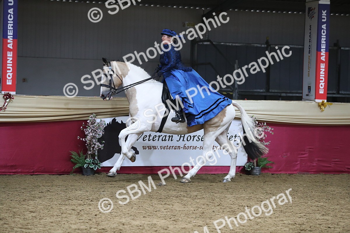 SBM_12038 - Class 106 Ridden Costume- Astride Adult (15-19)