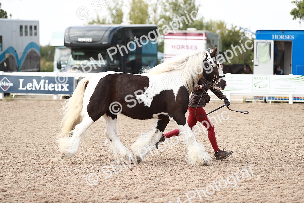 SBM_13828 - Class 209 IH Veteran Pony