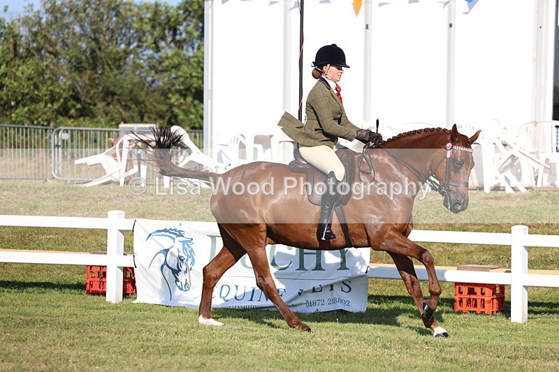 3E7A5089 - Class 1: Rising Star Small Hack/Riding Horses