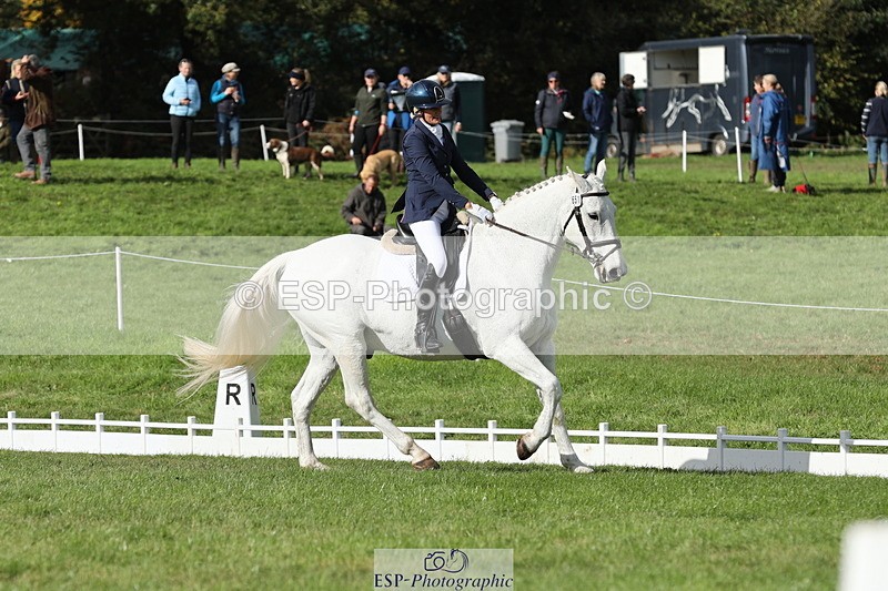 251024A-133244-12600 - H-651-Victoria.Tar