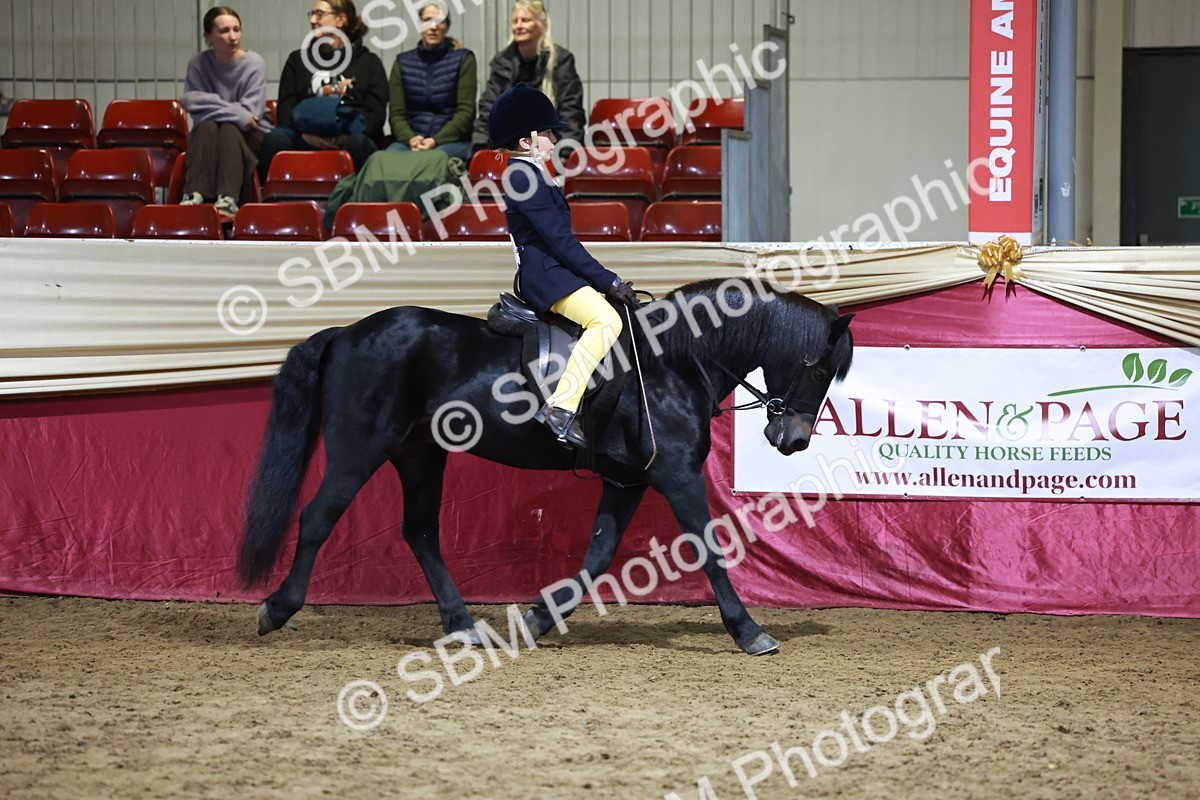 SBM_21536 - Class V - Champion of Champions