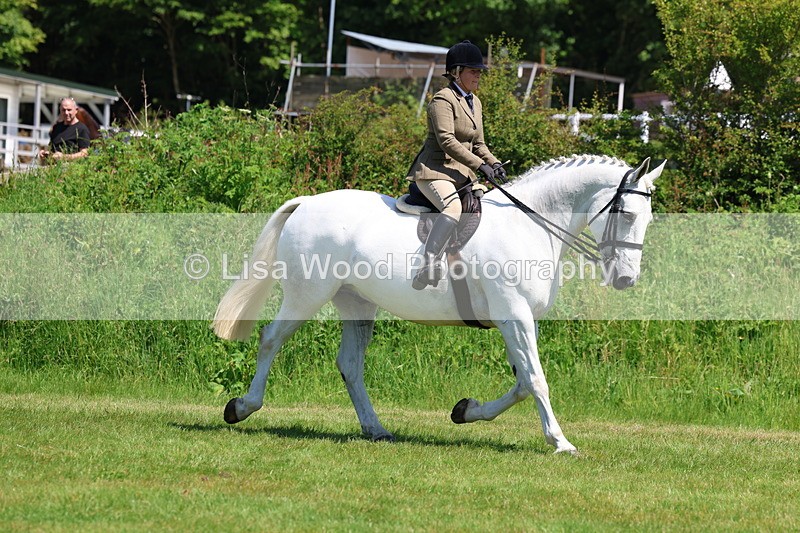 3E7A8236 - Class 13: Ridden Hunter