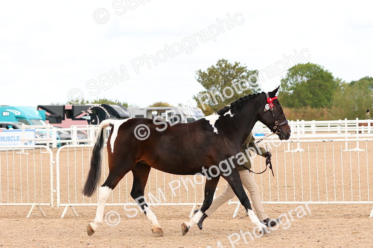 SBM_11940 - Class 209 - IH Veteran Pony