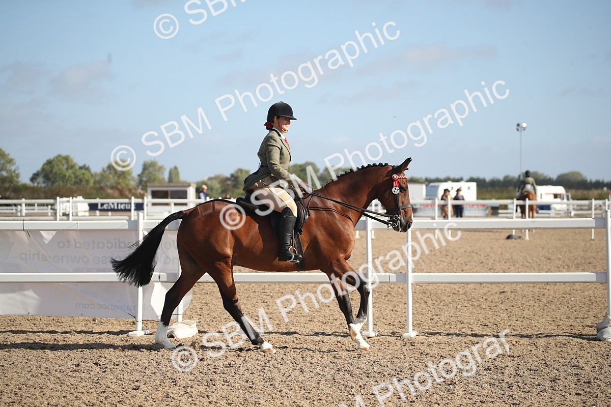 SBM_22714 - Class 601 - 2026 - Area - Ridden Diamond