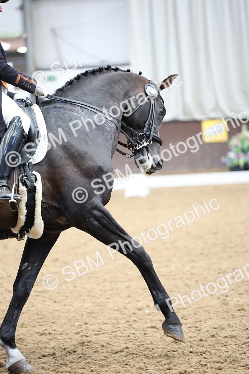 SBM_004396 - Class 9 - FEI Inter 1 Gold - 15.55-16.43